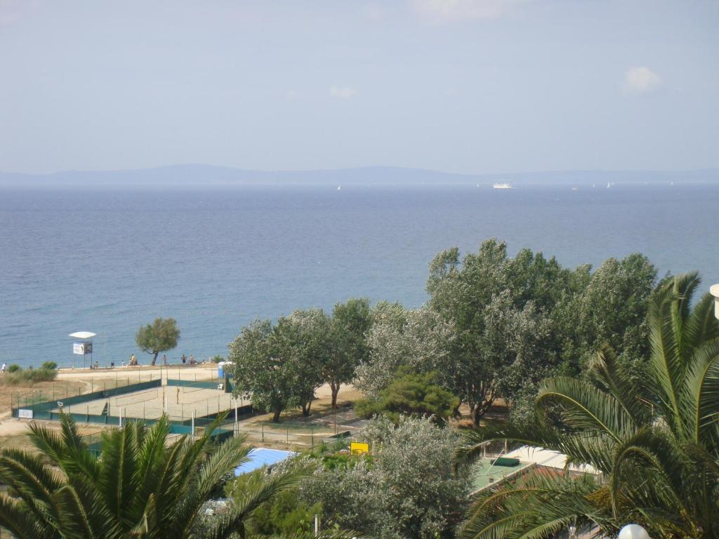 Holiday